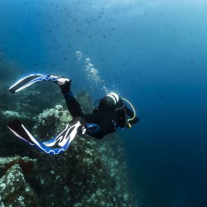 Aqualung Phazer Scuba Fin - Blue - Image 7